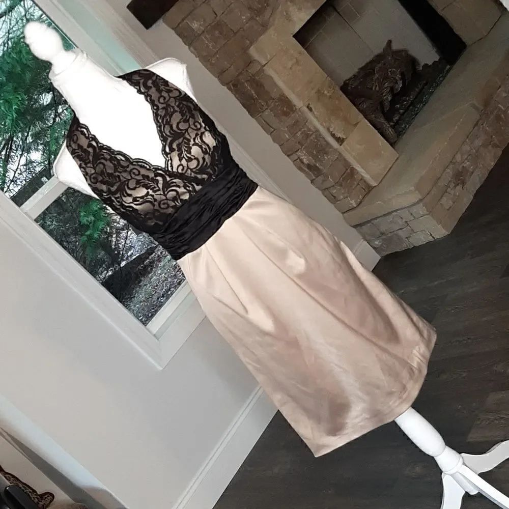 Max & Cleo New Open Back Zip Side Lined Lace Bodice Dress